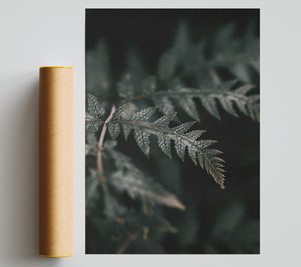 Emerald Fern Whispers Print