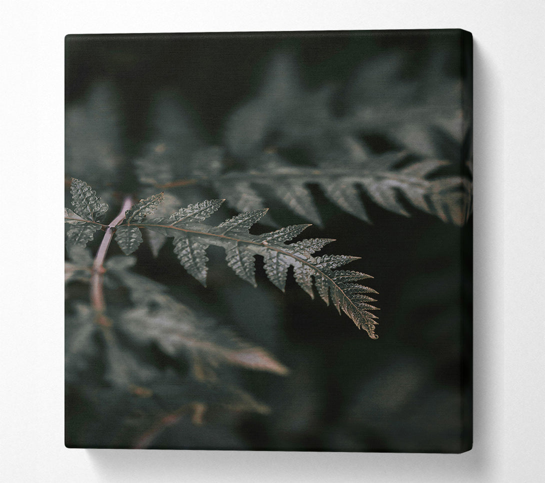  A Canvas Print of Emerald Fern Whispers Canvas Print