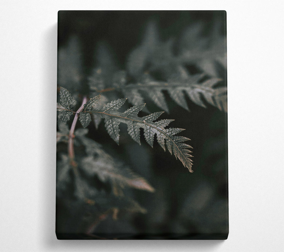  A Canvas Print of Emerald Fern Whispers Canvas Print