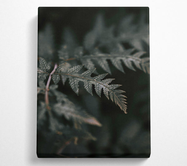  A Canvas Print of Emerald Fern Whispers Canvas Print