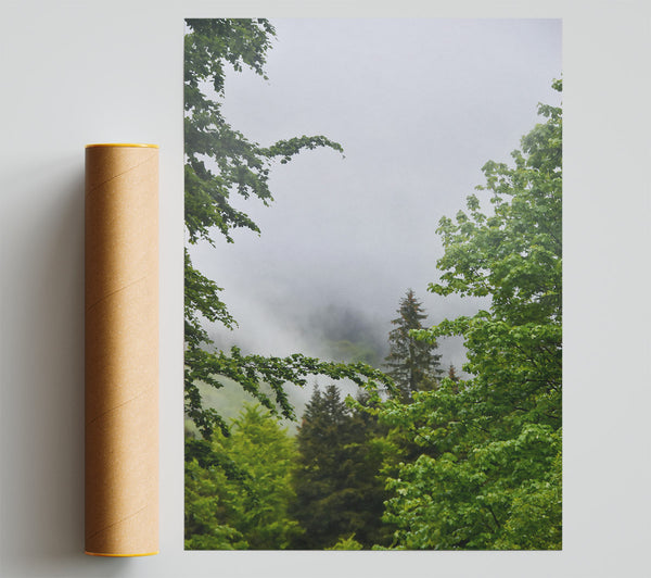 Green Mist Enchantment Print