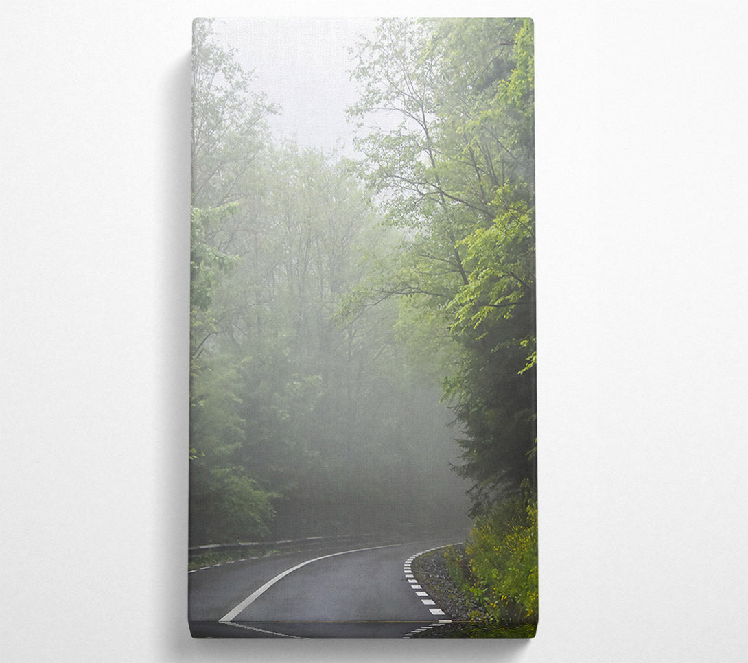  A Canvas Print of Green Foggy Road Canvas Art