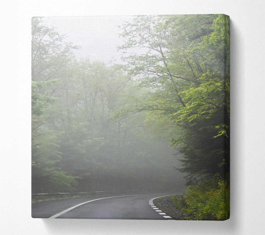  A Canvas Print of Green Foggy Road Canvas Art