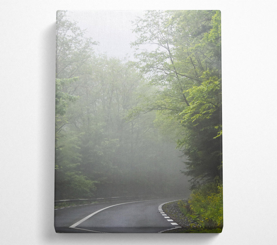  A Canvas Print of Green Foggy Road Canvas Art