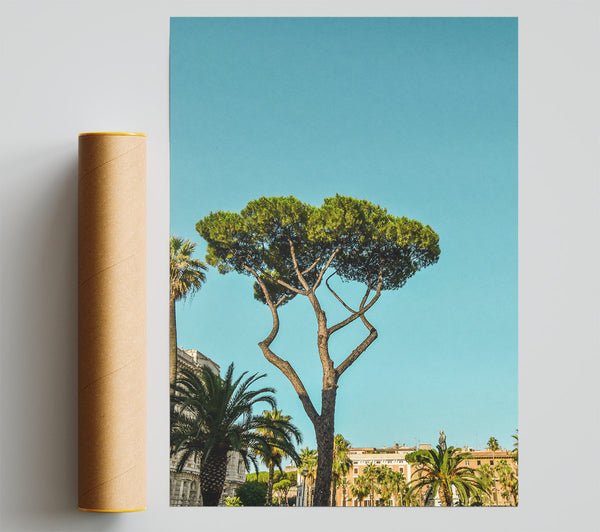 Blue Sky Pine Tree Print
