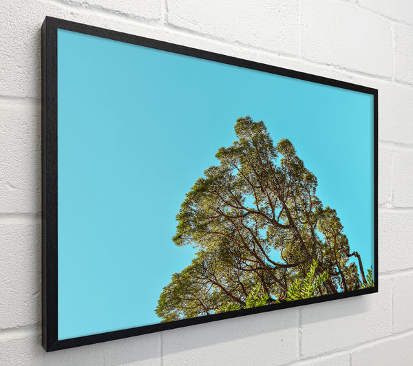 Azure Sky Canopy