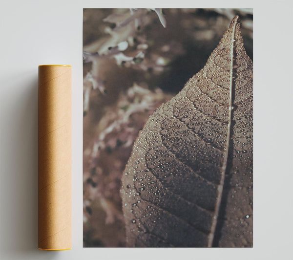 Brown Dewdrop Leaf Print