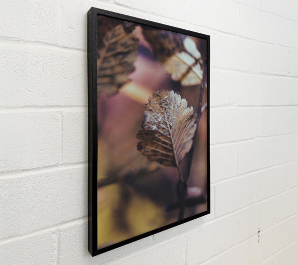 The Rusty Brown Leaf