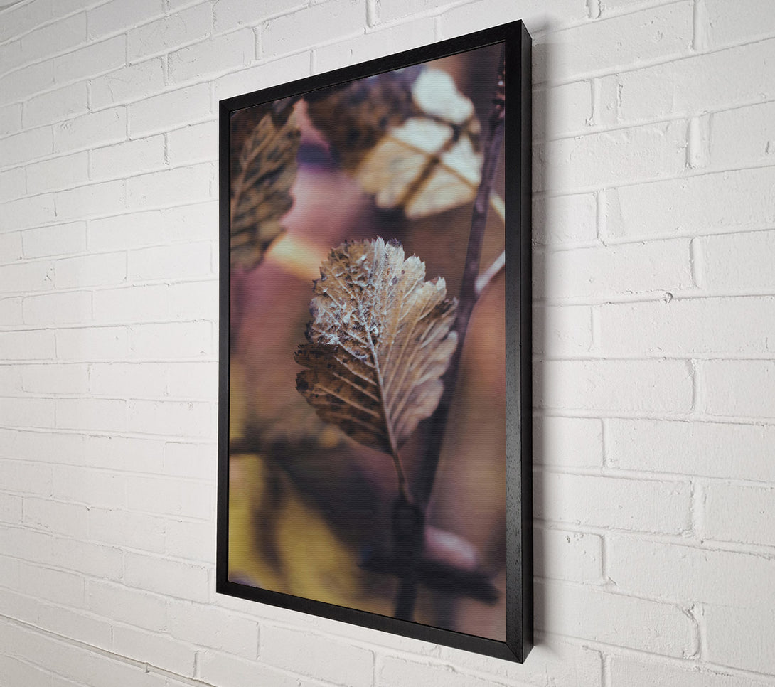  A Canvas Print of The Rusty Brown Leaf Canvas Art