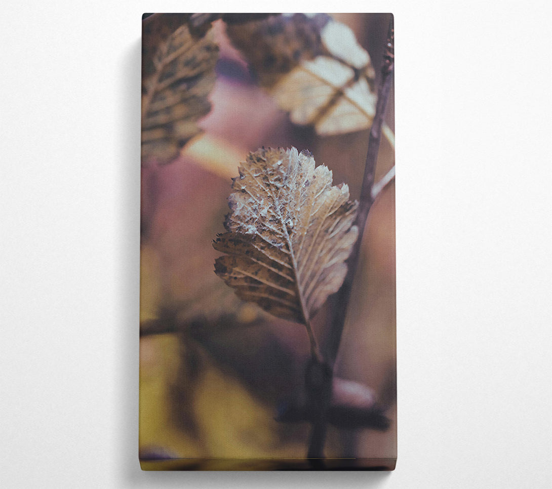  A Canvas Print of The Rusty Brown Leaf Canvas Art