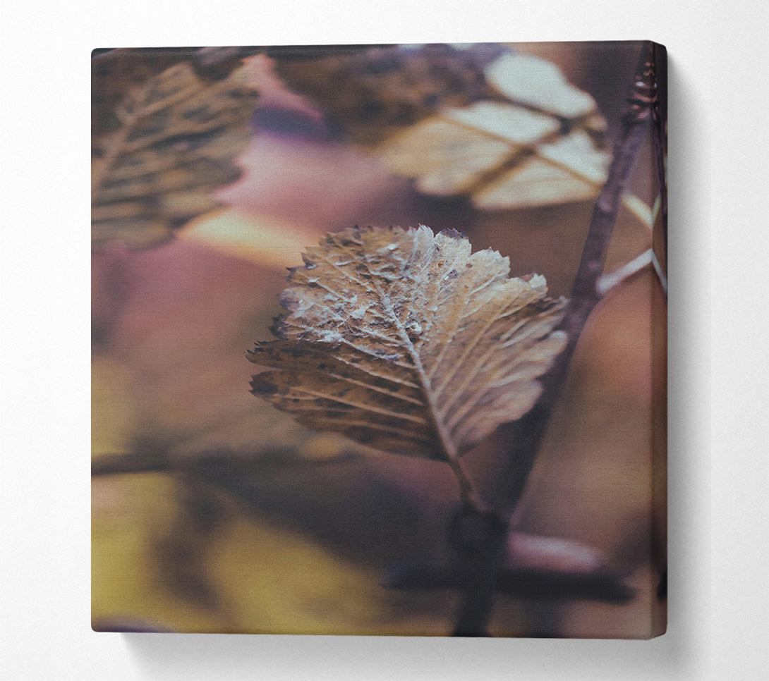  A Canvas Print of The Rusty Brown Leaf Canvas Art
