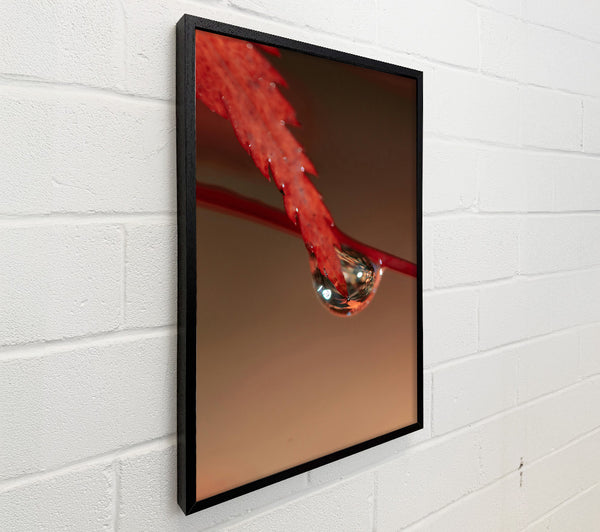 Crimson Leaf Reflection