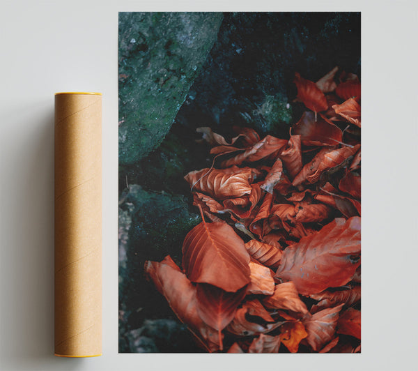 Rust-Colored Autumn Leaves Poster