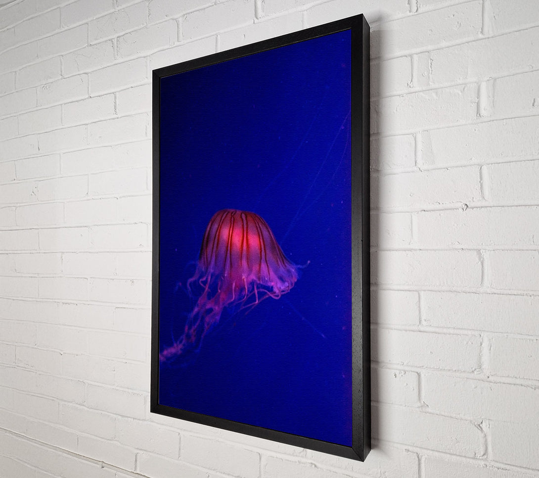  A Canvas Print of Pink Jellyfish Bloom Canvas Wall Art