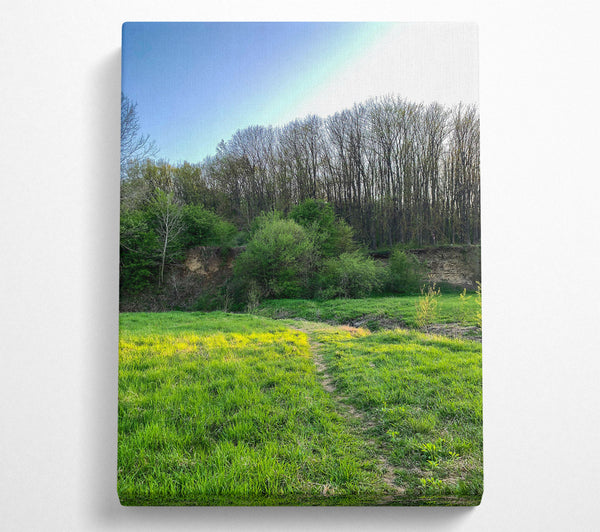 A Canvas Print of Golden Green Path Canvas Print