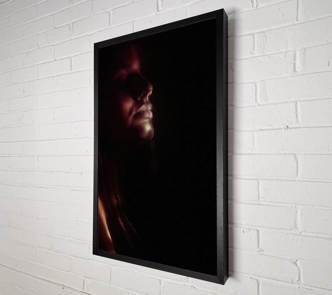  A Canvas Print of Crimson In Darkness Canvas Art