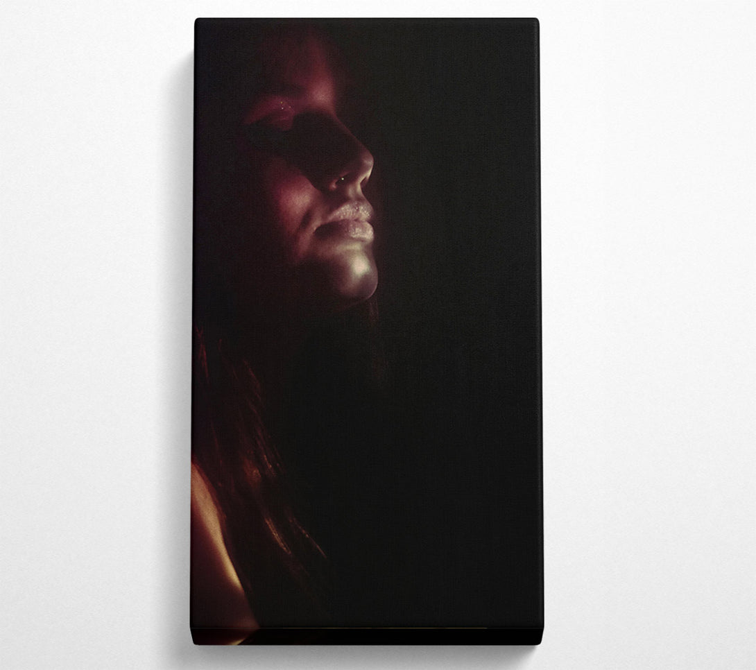  A Canvas Print of Crimson In Darkness Canvas Art
