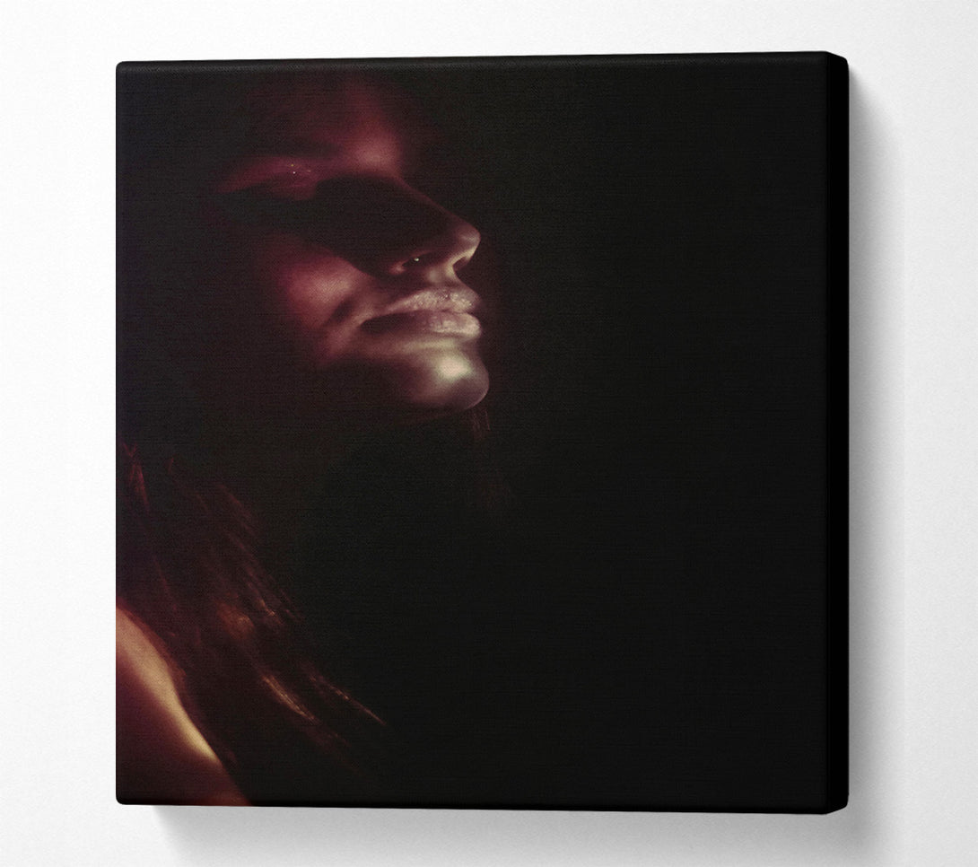  A Canvas Print of Crimson In Darkness Canvas Art