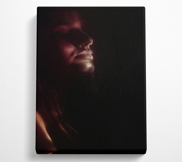  A Canvas Print of Crimson In Darkness Canvas Art