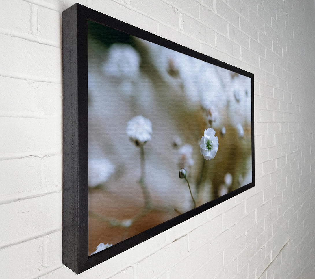  A Canvas Print of White Flower Focus Canvas Wall Art