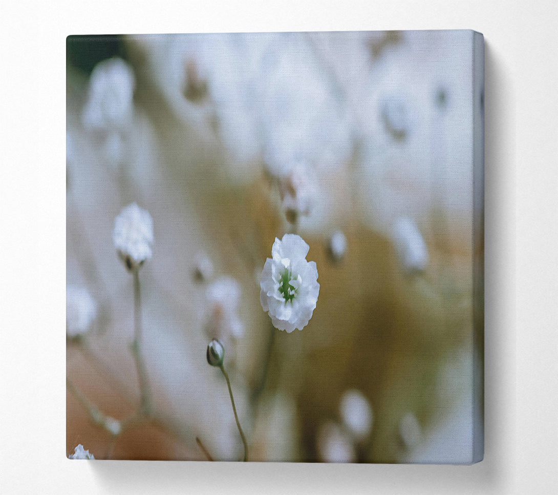  A Canvas Print of White Flower Focus Canvas Wall Art