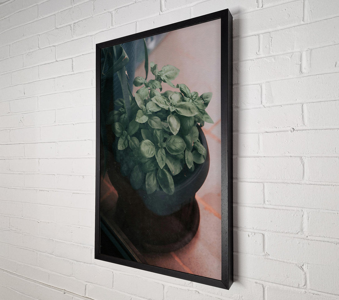 A Canvas Print of Green Basil Through Glass Canvas Art