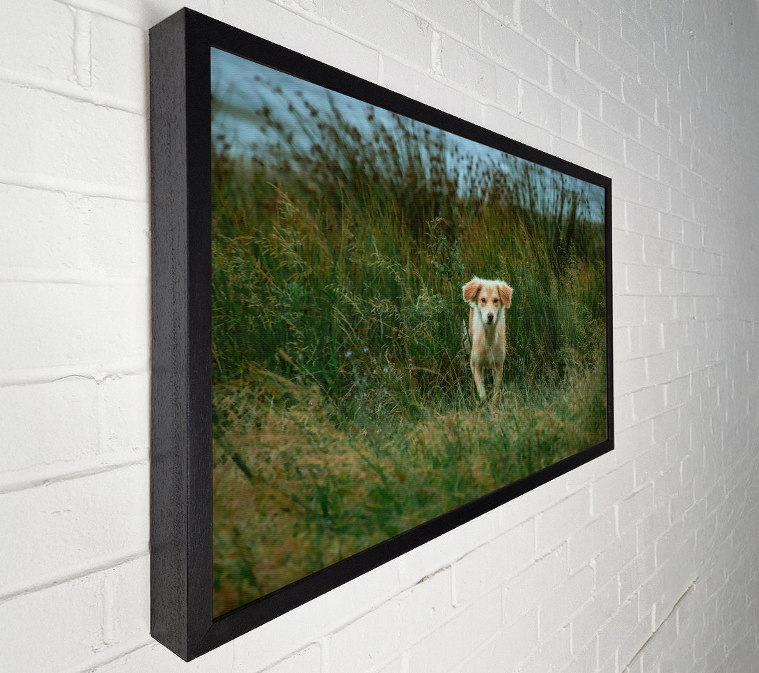  A Canvas Print of Golden Gaze In Green Canvas Wall Art