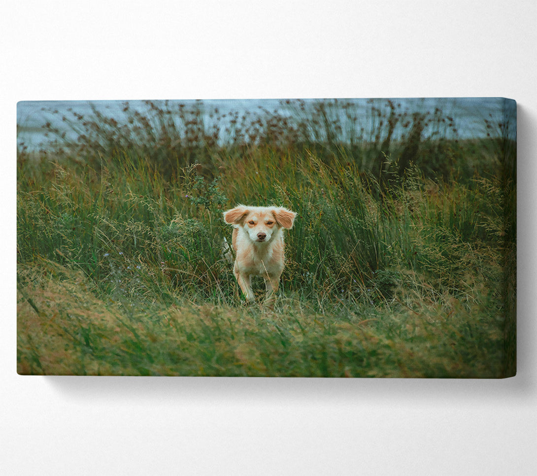  A Canvas Print of Golden Gaze In Green Canvas Wall Art