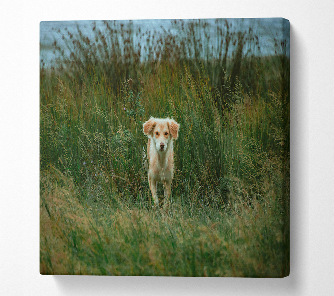  A Canvas Print of Golden Gaze In Green Canvas Wall Art