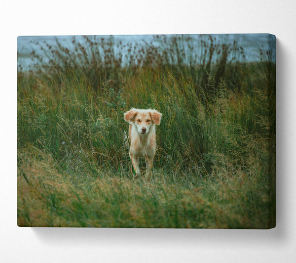  A Canvas Print of Golden Gaze In Green Canvas Wall Art