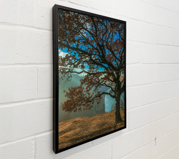 Blue Sky Silhouette Tree