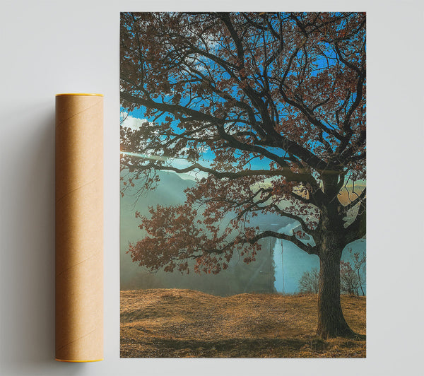 Blue Sky Silhouette Tree Poster