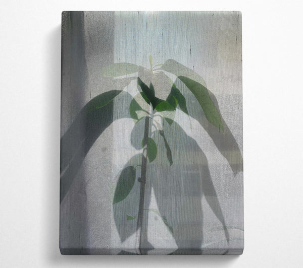  A Canvas Print of Pale Green Silhouette Canvas Wall Art