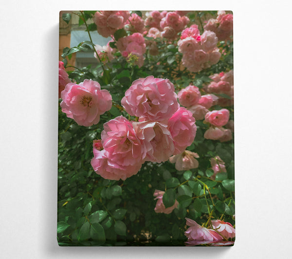  A Canvas Print of Blush Rose Bouquet Canvas Wall Art