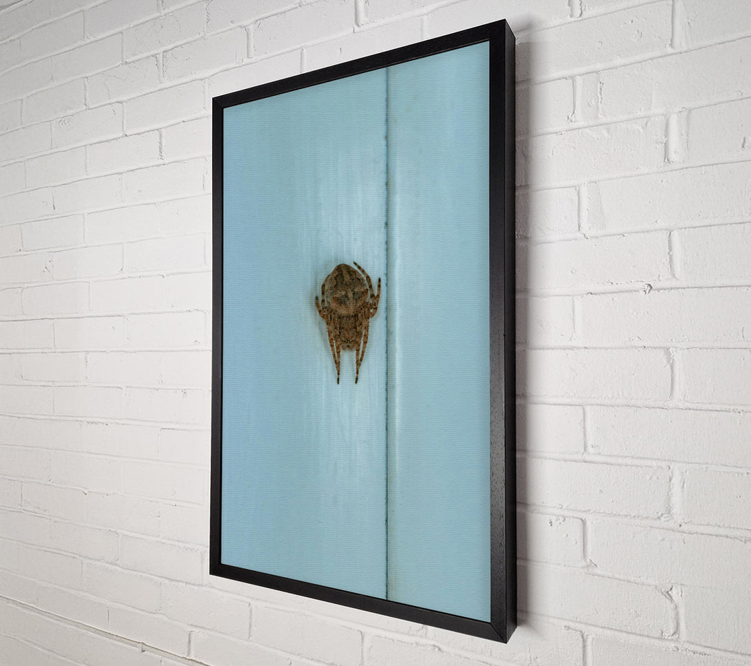  A Canvas Print of Pale Blue Spider Canvas Art