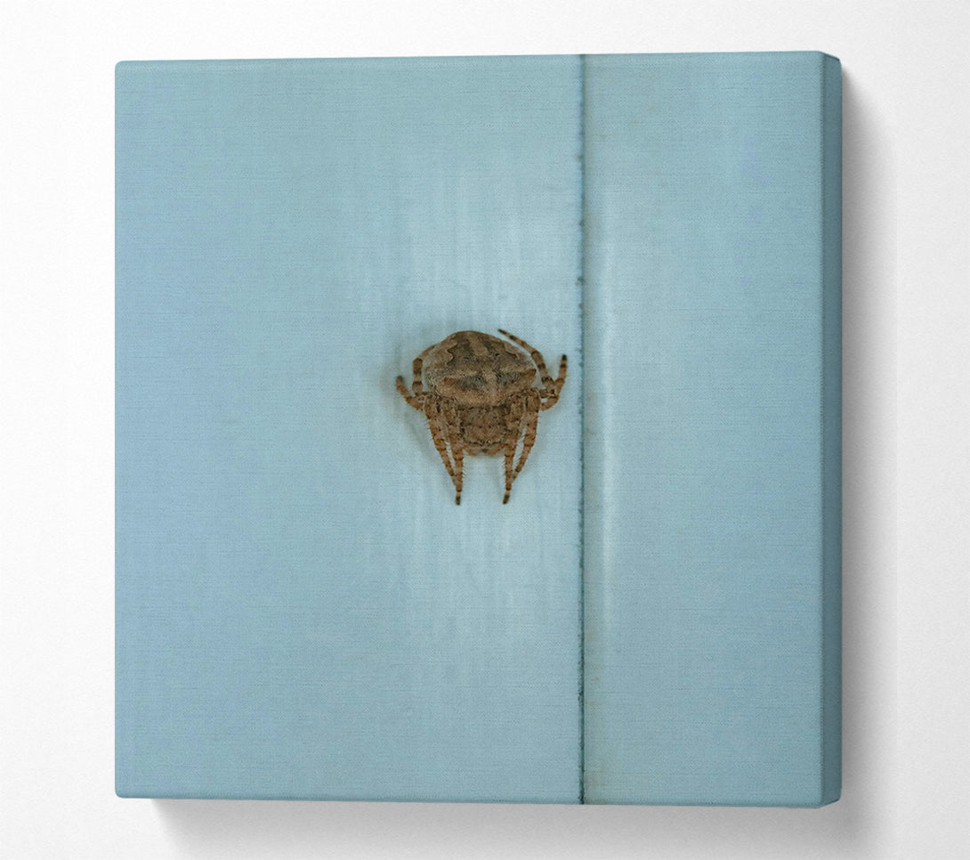  A Canvas Print of Pale Blue Spider Canvas Art