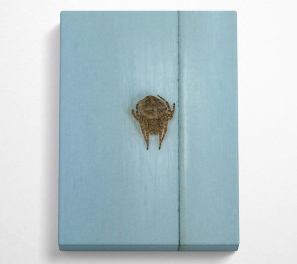 A Canvas Print of Pale Blue Spider Canvas Art