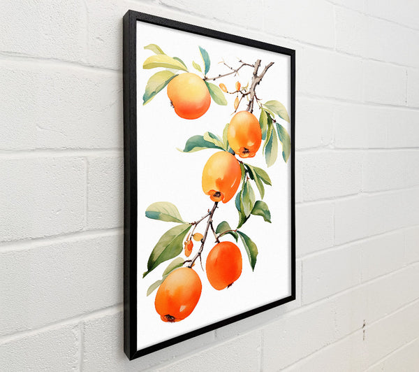 Persimmon Tree Watercolour