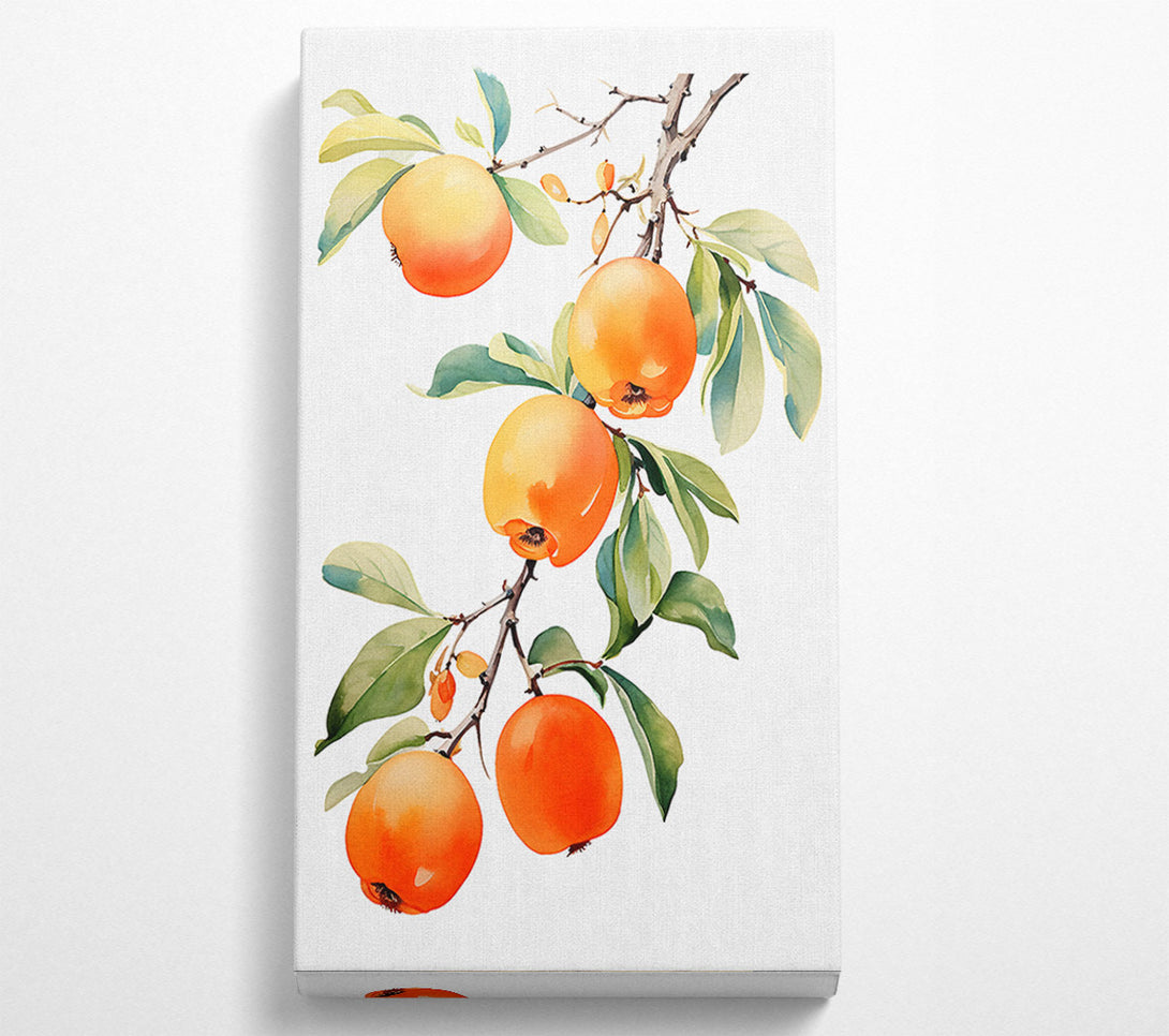  A Canvas Print of Persimmon Tree Watercolour Canvas Wall Art