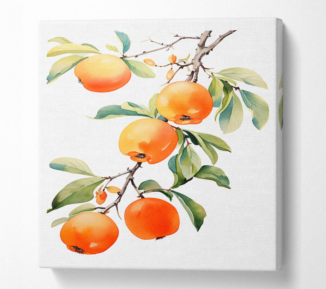  A Canvas Print of Persimmon Tree Watercolour Canvas Wall Art