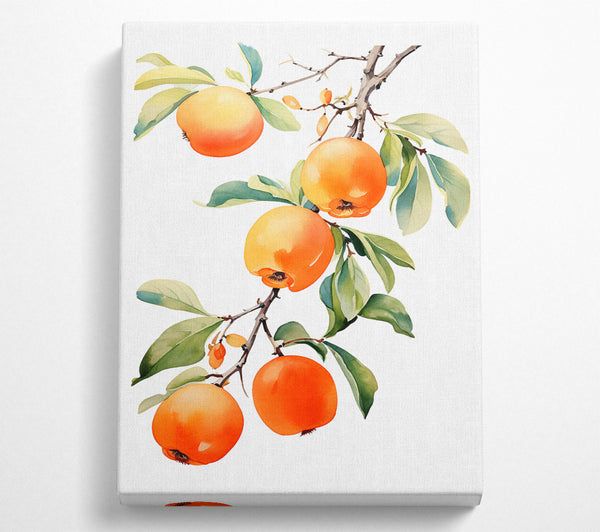  A Canvas Print of Persimmon Tree Watercolour Canvas Wall Art