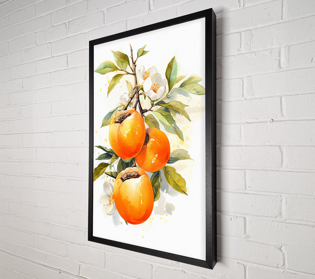  A Canvas Print of Persimmon Watercolour Canvas Art