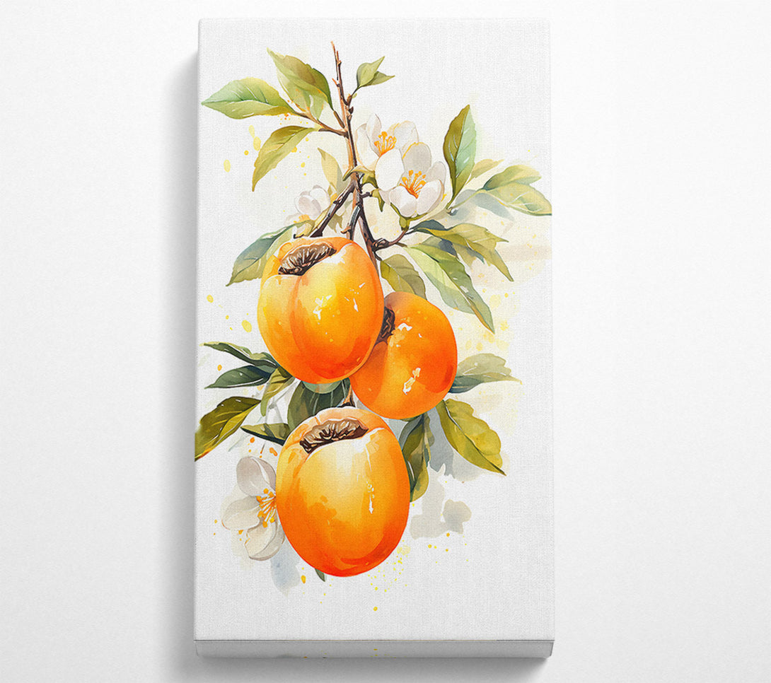  A Canvas Print of Persimmon Watercolour Canvas Art
