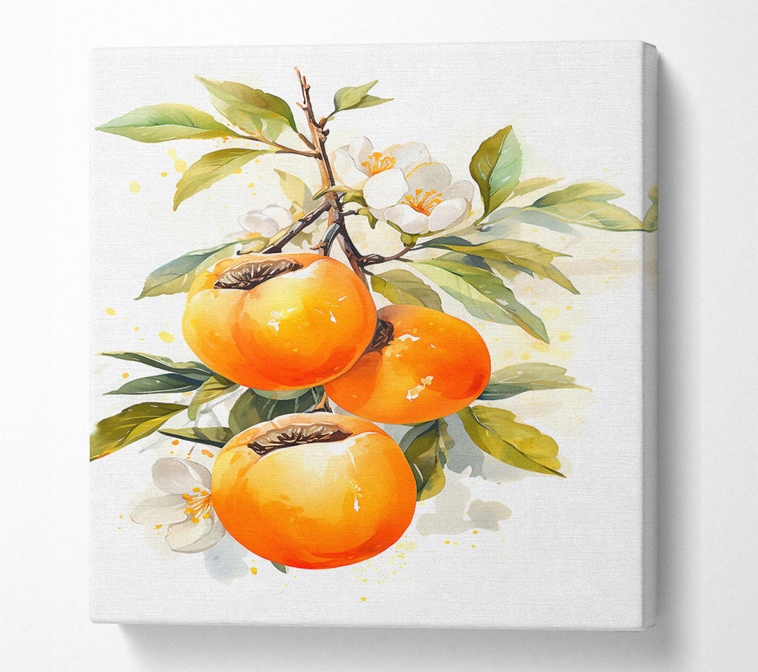  A Canvas Print of Persimmon Watercolour Canvas Art