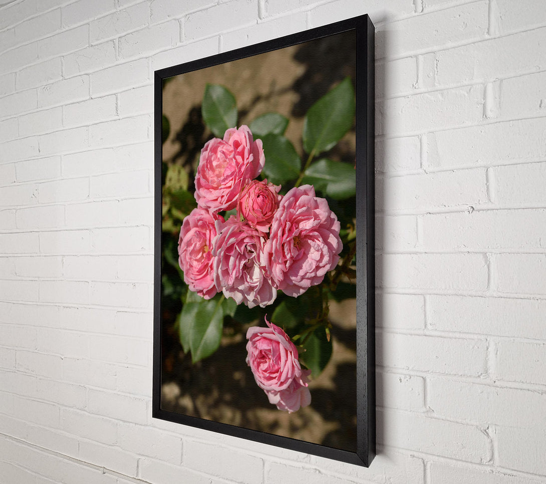  A Canvas Print of Pink Roses Blooming Canvas Wall Art