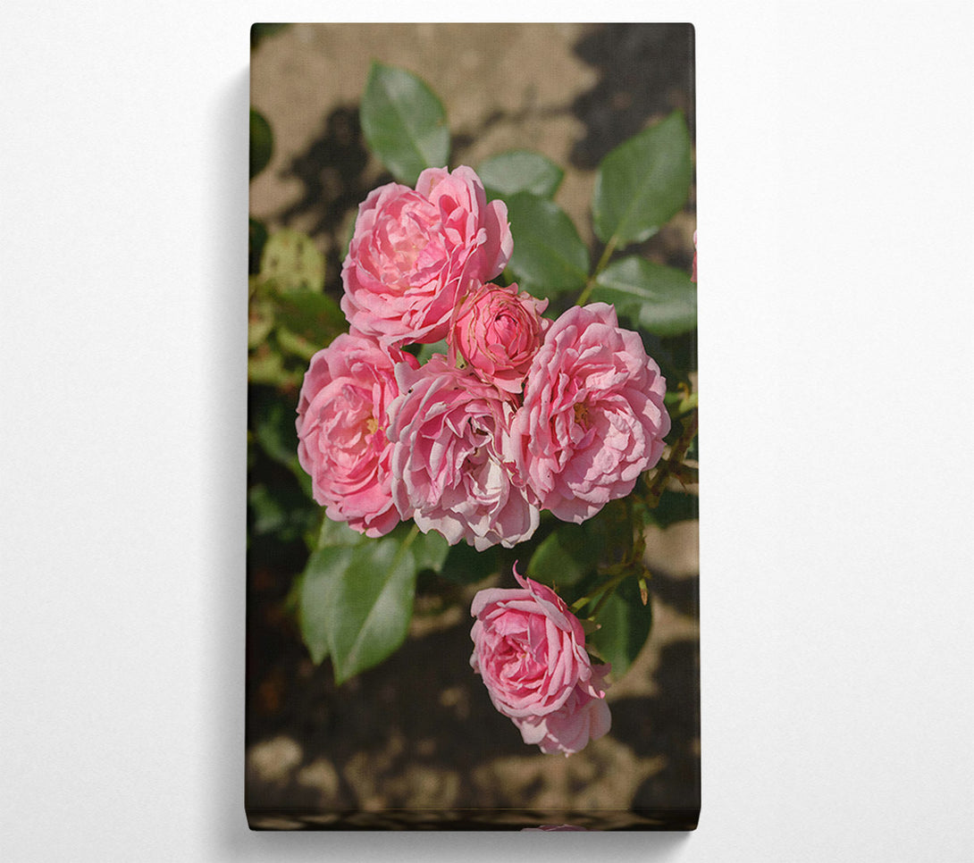  A Canvas Print of Pink Roses Blooming Canvas Wall Art