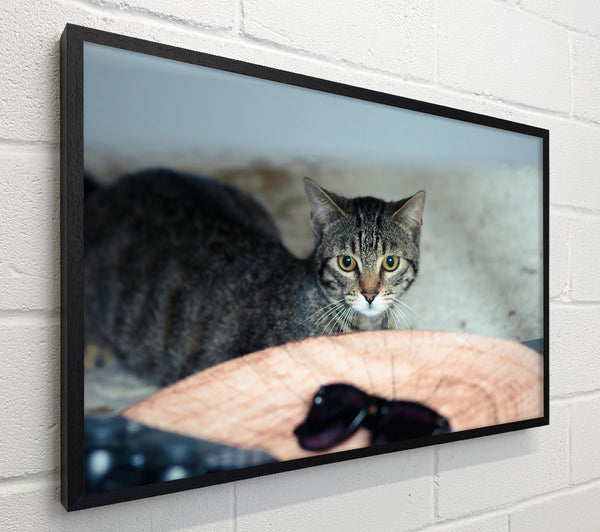 Golden Eyes On Wood