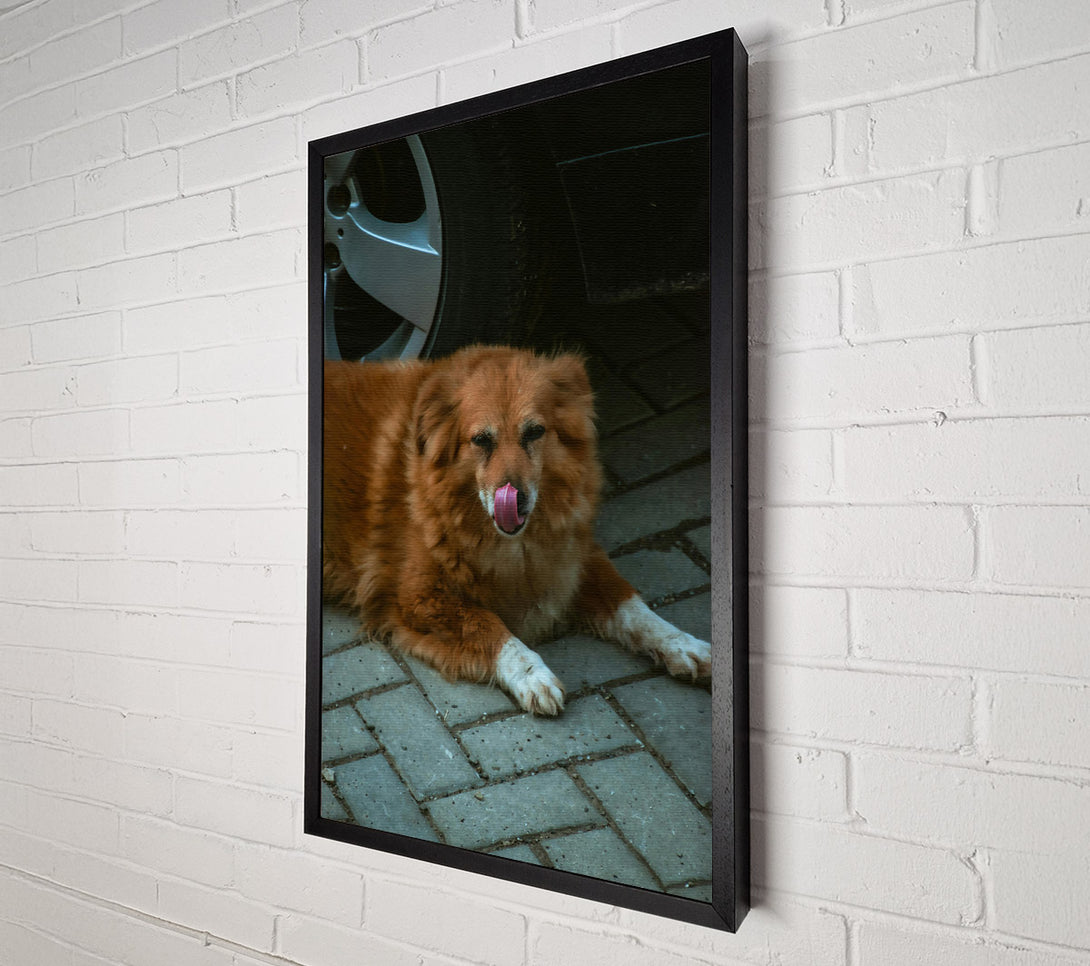 A Canvas Print of Golden Paw Prints Canvas Wall Art
