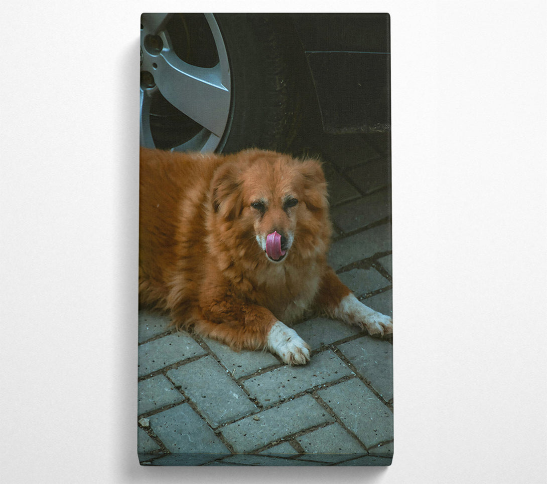  A Canvas Print of Golden Paw Prints Canvas Wall Art