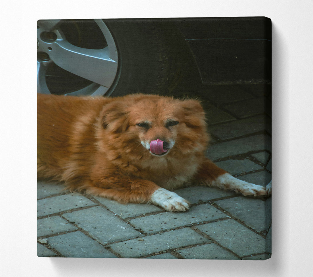  A Canvas Print of Golden Paw Prints Canvas Wall Art